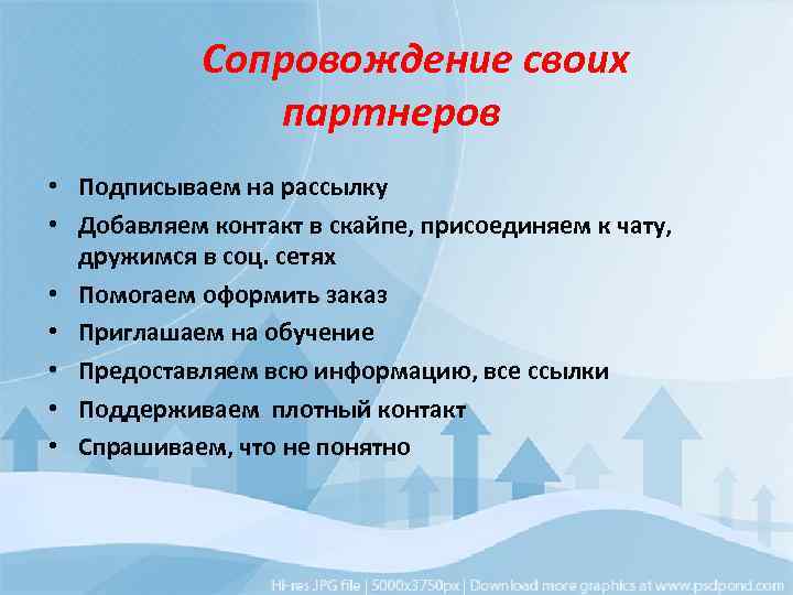  Сопровождение своих партнеров • Подписываем на рассылку • Добавляем контакт в скайпе, присоединяем