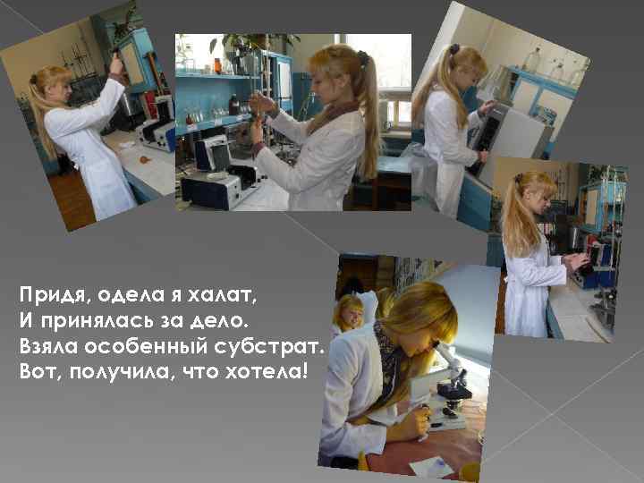 Придя, одела я халат, И принялась за дело. Взяла особенный субстрат. Вот, получила, что