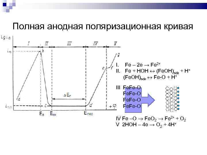 Полная анодная поляризационная кривая I. Fe – 2 e → Fe 2+ II. Fe