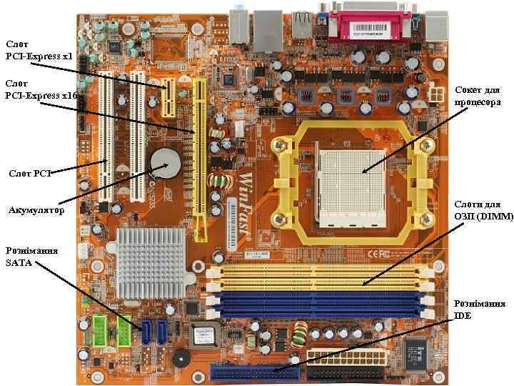 Слот PCI Express x 16 Сокет для процесора Слот PCI Акумулятор Слоти для ОЗП
