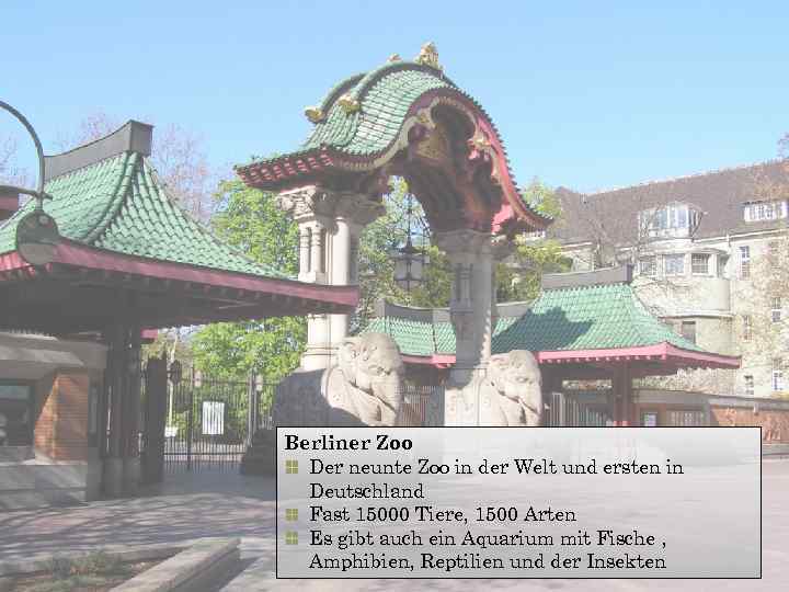 Berliner Zoo Der neunte Zoo in der Welt und ersten in Deutschland Fast 15000
