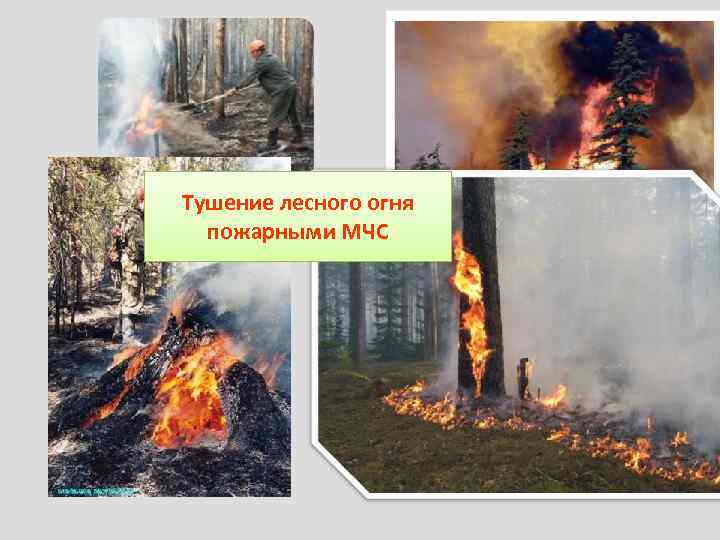 Тушение лесного огня пожарными МЧС 