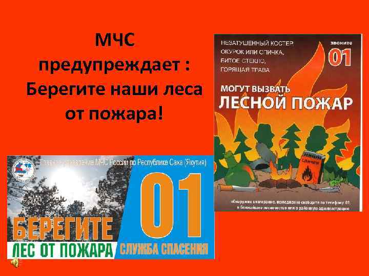 МЧС предупреждает : Берегите наши леса от пожара! 