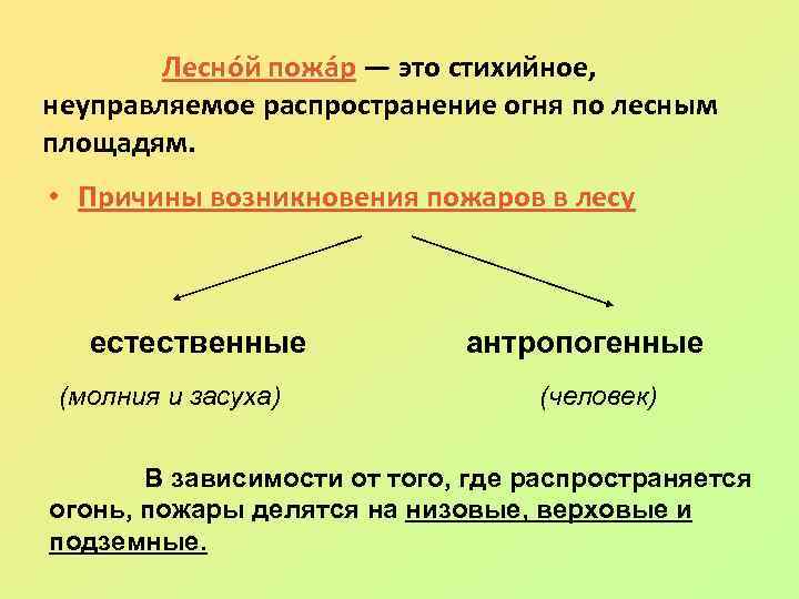 Лесно й пожа р — это стихийное, неуправляемое распространение огня по лесным площадям.