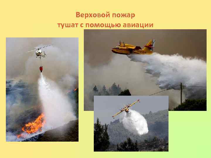 Верховой пожар тушат с помощью авиации 