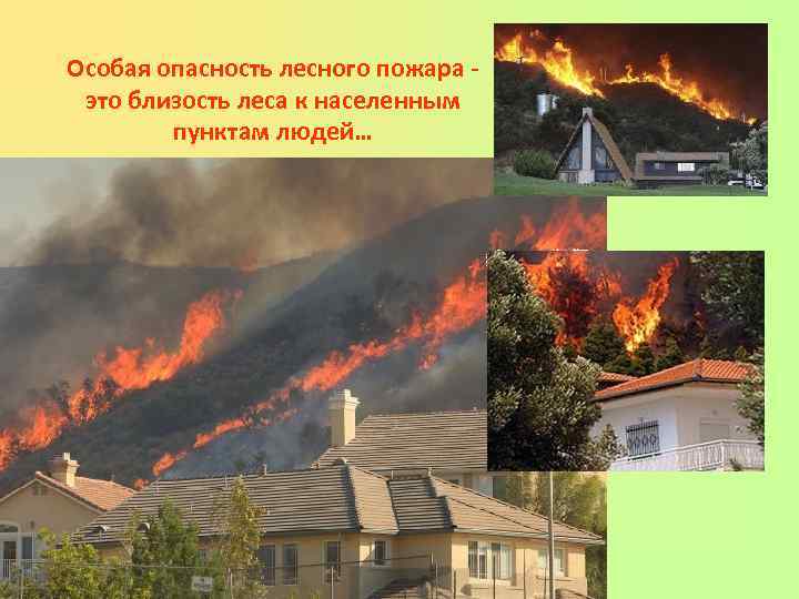 Особая опасность лесного пожара - это близость леса к населенным пунктам людей… 