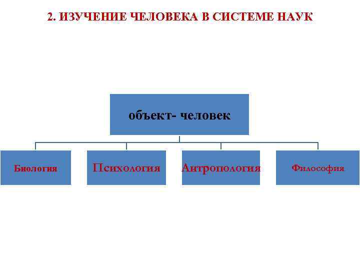 2. ИЗУЧЕНИЕ ЧЕЛОВЕКА В СИСТЕМЕ НАУК объект- человек Биология Психология Антропология Философия 