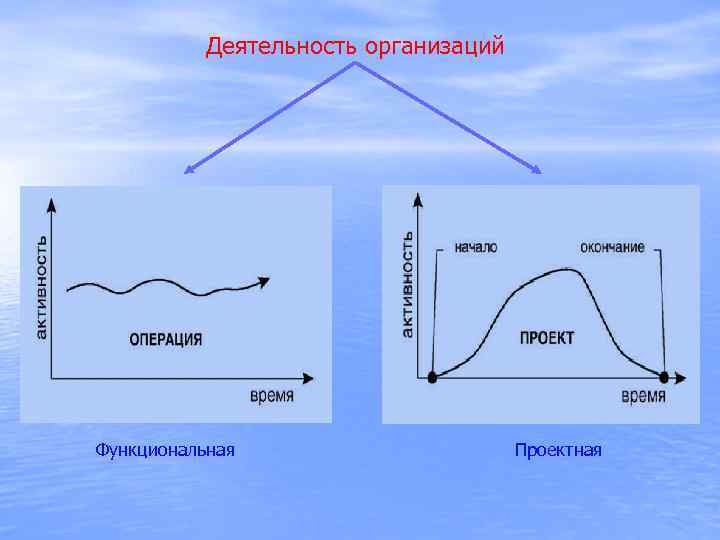 Деятельность организаций Функциональная Проектная 