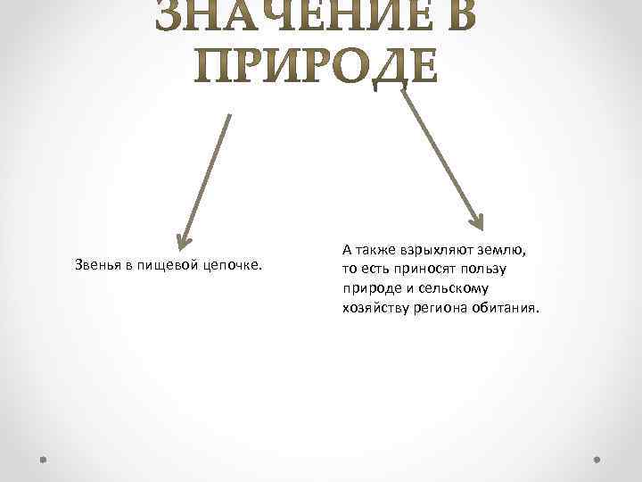 Звенья в пищевой цепочке. А также взрыхляют землю, то есть приносят пользу природе и