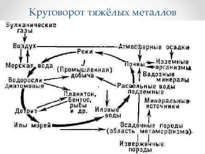 Биогеохимический цикл кислорода схема