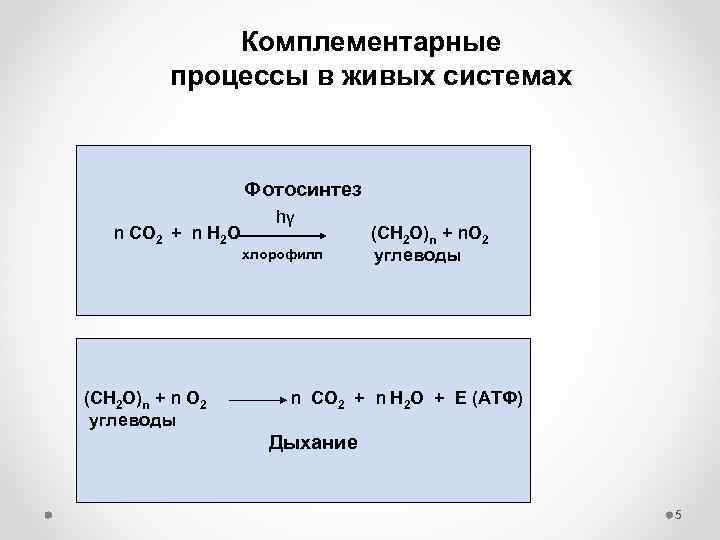 Комплементарные процессы в живых системах Фотосинтез n CO 2 + n H 2 O