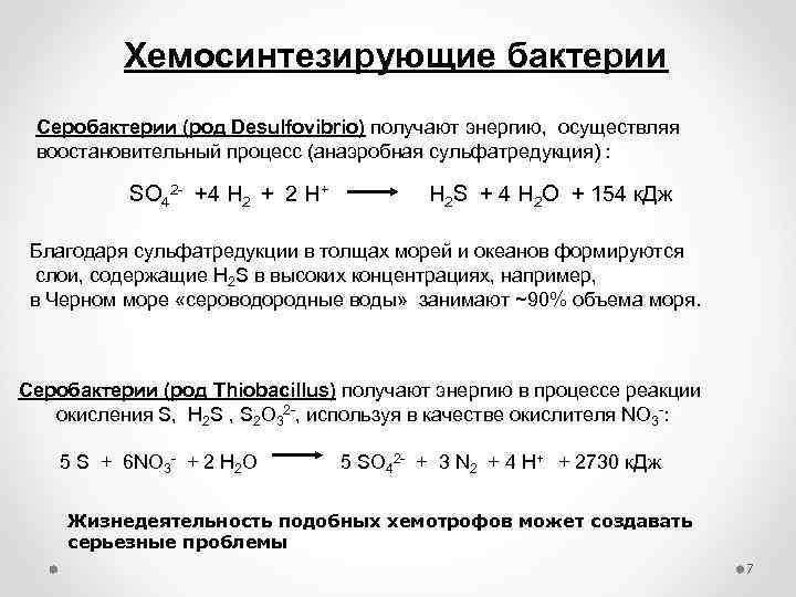 Роль хемосинтезирующих бактерий