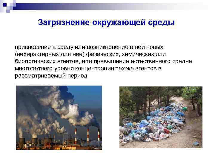 Почему окружающая среда загрязнена. Загрязнение окружающей среды. Шумовое загрязнение окружающей среды. Физическое загрязнение окружающей среды. Примеры загрязнения окружающей среды.