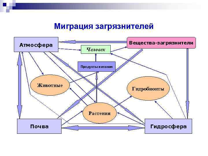 Пути миграции веществ-загрязнителей в биосфере Миграция загрязнителей Атмосфера Вещества-загрязнители Человек Продукты питания Животные Гидробионты