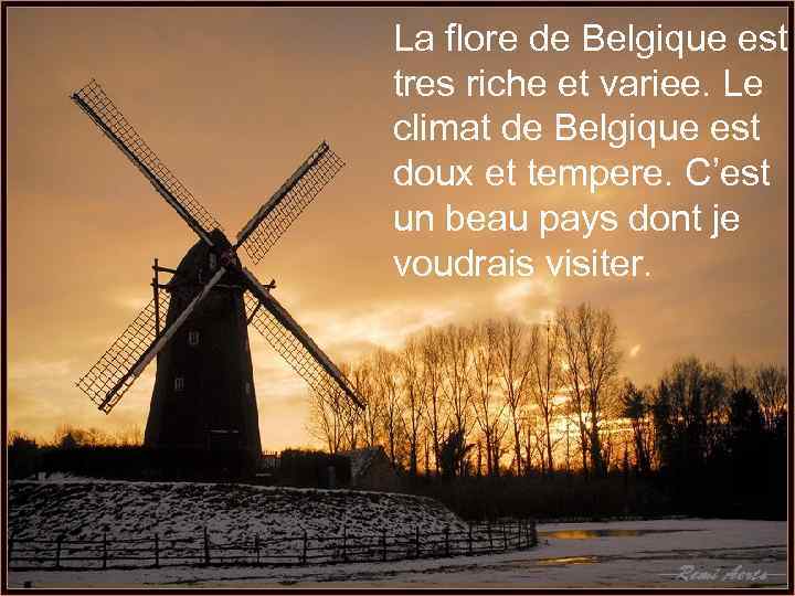  La flore de Belgique est tres riche et variee. Le climat de Belgique