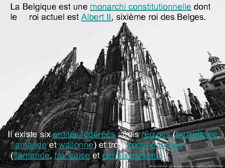 La Belgique est une monarchi constitutionnelle dont le roi actuel est Albert II, sixième