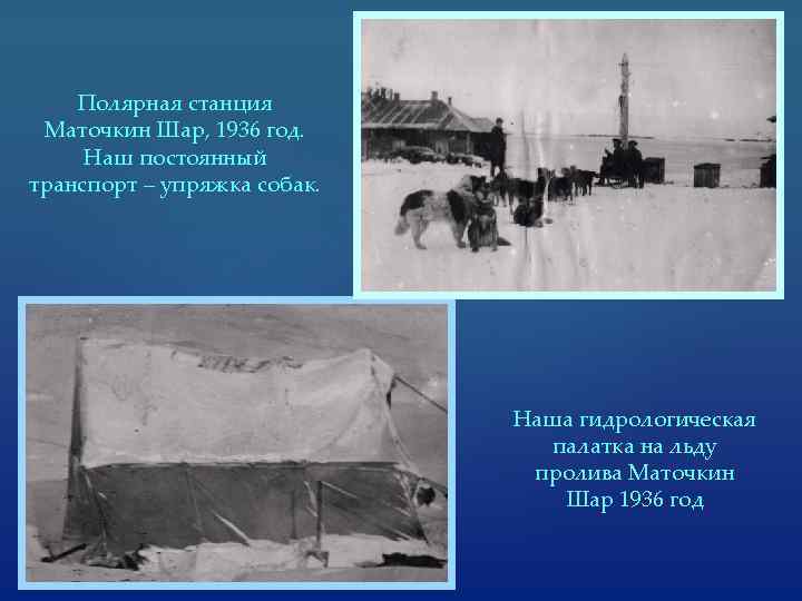 Полярная станция Маточкин Шар, 1936 год. Наш постоянный транспорт – упряжка собак. Наша гидрологическая
