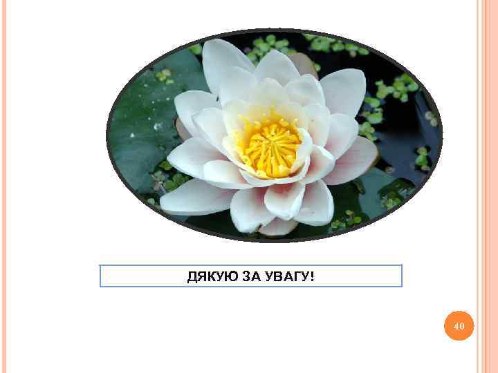 ДЯКУЮ ЗА УВАГУ! 40 40 