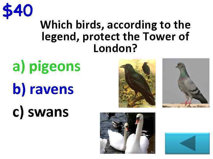 $40 Which birds, according to the legend, protect the Tower of London? a) pigeons