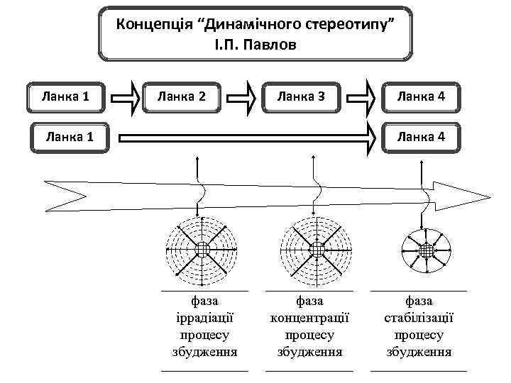Концепція “Динамічного стереотипу” І. П. Павлов Ланка 1 Ланка 2 Ланка 3 Ланка 1