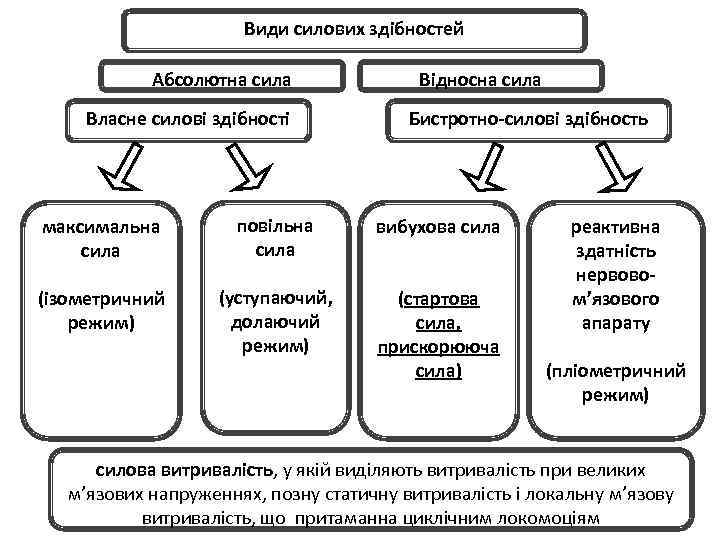 Види силових здібностей Абсолютна сила Власне силові здібності Відносна сила Бистротно-силові здібность максимальна сила