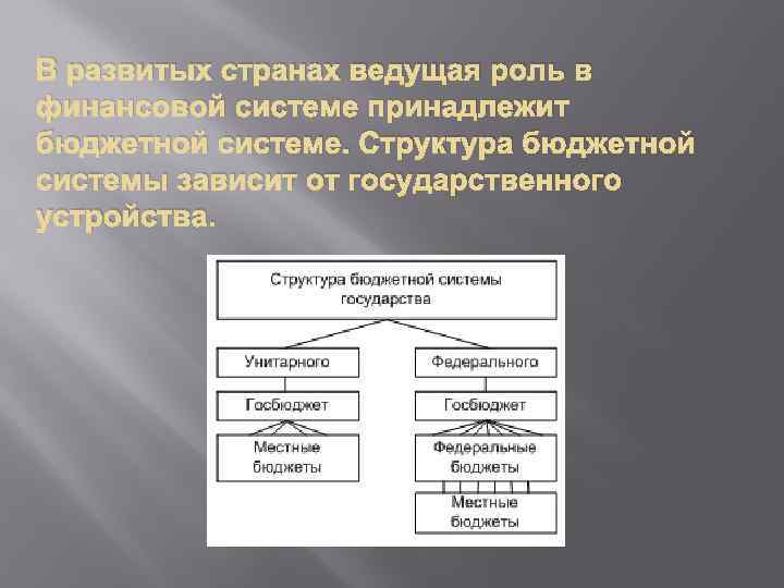 В развитых странах ведущая роль в финансовой системе принадлежит бюджетной системе. Структура бюджетной системы