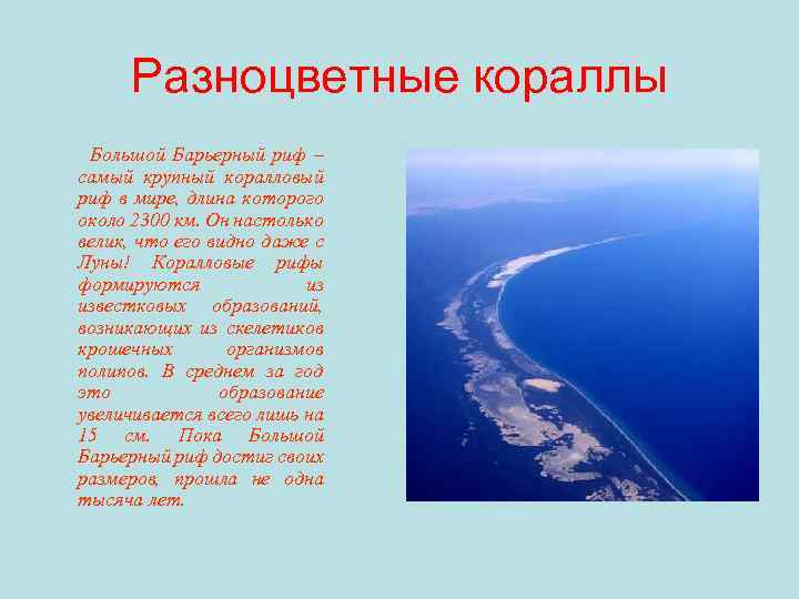 Разноцветные кораллы Большой Барьерный риф – самый крупный коралловый риф в мире, длина которого