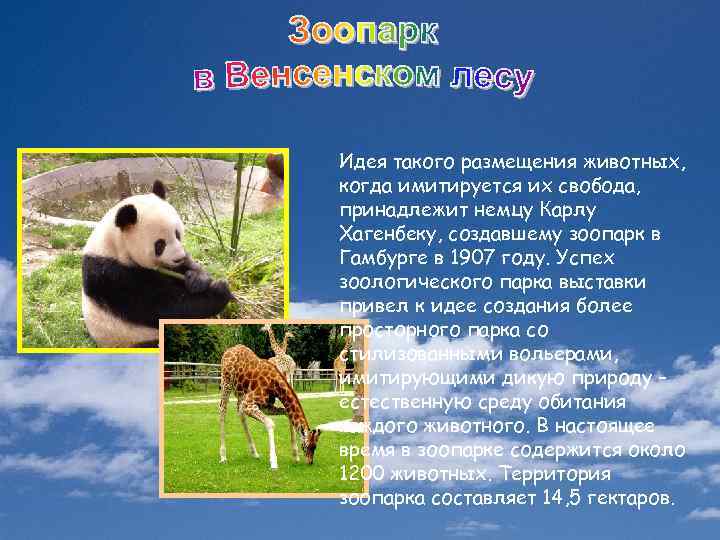 Идея такого размещения животных, когда имитируется их свобода, принадлежит немцу Карлу Хагенбеку, создавшему зоопарк