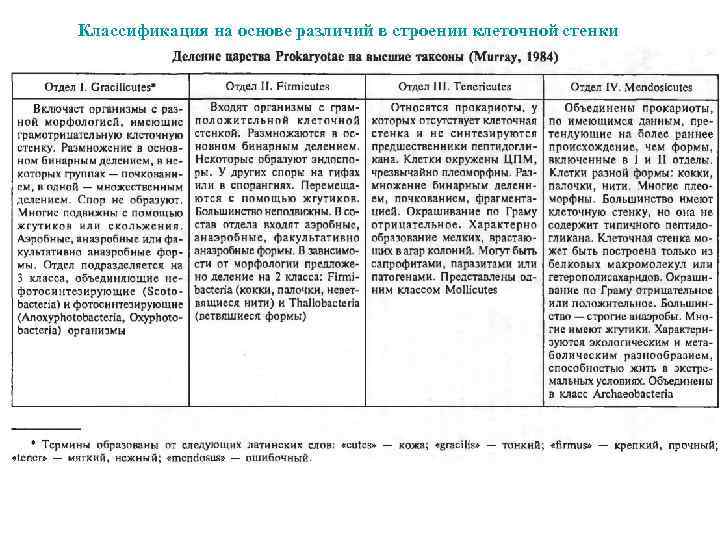 Классификация на основе различий в строении клеточной стенки 