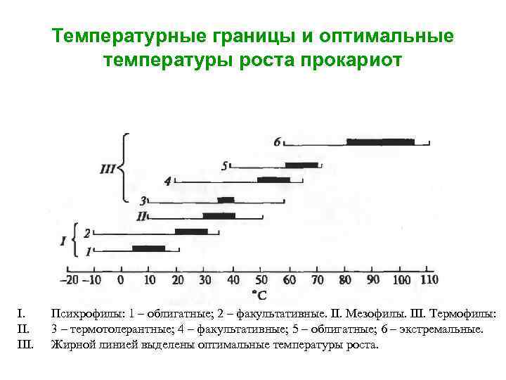Температурные границы и оптимальные температуры роста прокариот I. III. Психрофилы: 1 – облигатные; 2