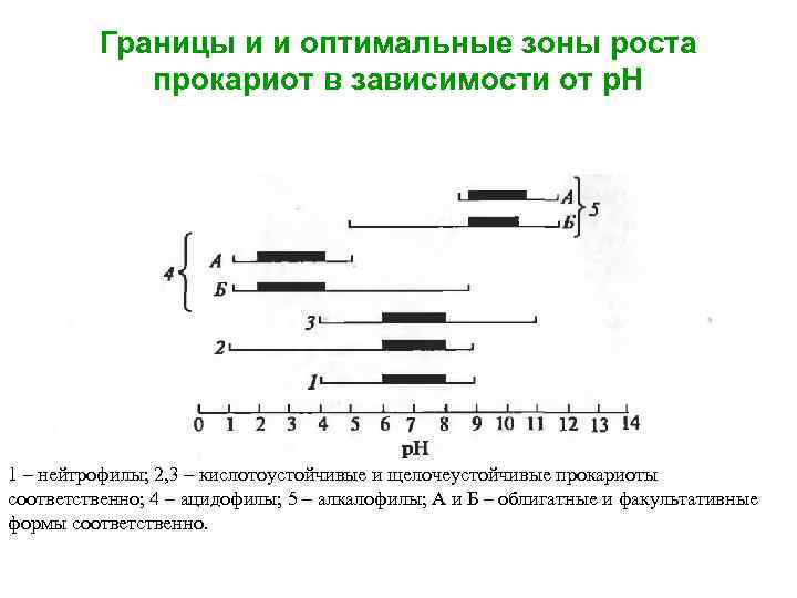 Оптимальная зона