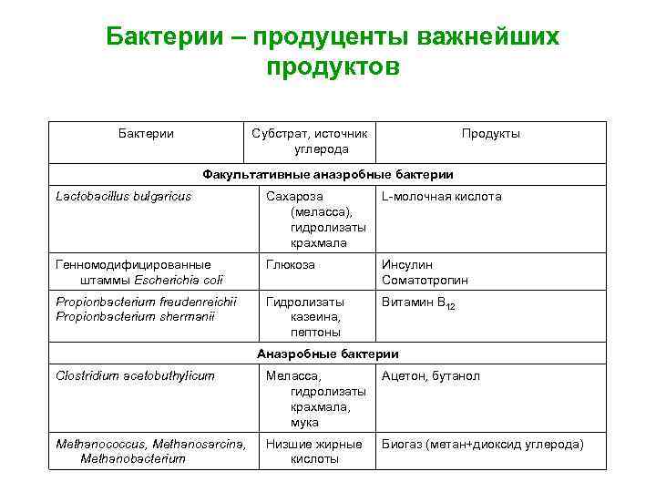 Бактерии – продуценты важнейших продуктов Бактерии Субстрат, источник углерода Продукты Факультативные анаэробные бактерии Lactobacillus