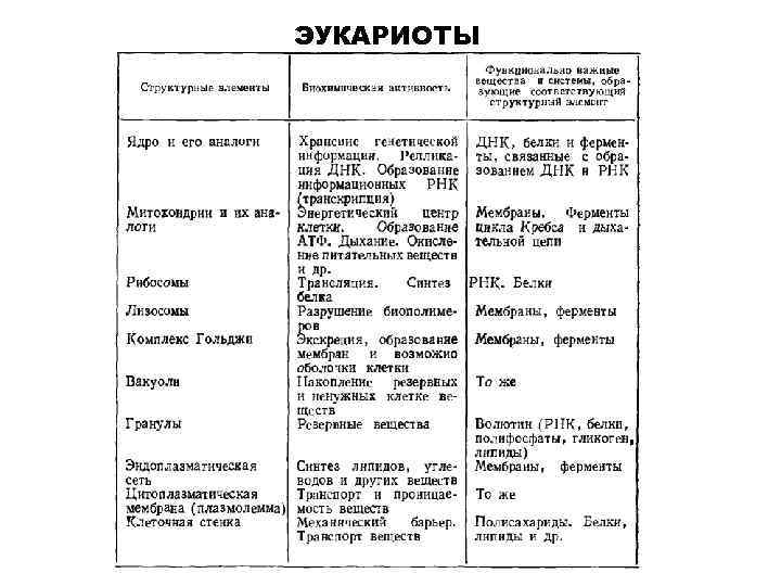ЭУКАРИОТЫ 