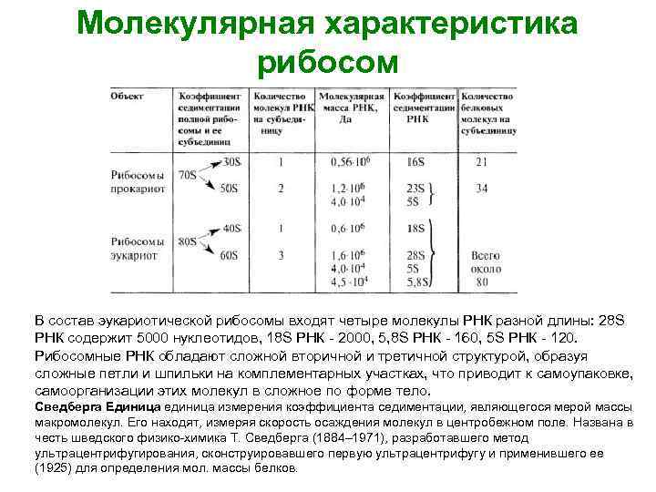 Характеристика молекулярной связи