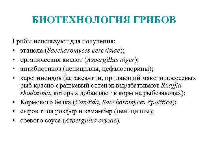 Использование одноклеточных грибов в биотехнологиях презентация 8 класс технология