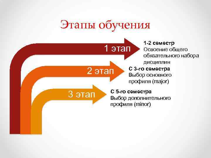 Этапы обучения 1 -2 семестр Освоение общего обязательного набора дисциплин С 3 -го семестра