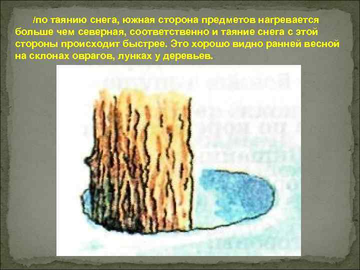 /по таянию снега, южная сторона предметов нагревается больше чем северная, соответственно и таяние снега
