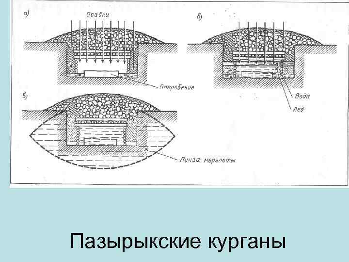 Пазырыкские курганы 