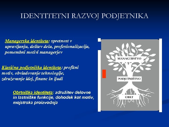 IDENTITETNI RAZVOJ PODJETNIKA Managerska identiteta: spretnost v upravljanju, delitev dela, profesionalizacija, pomembni motivi managerjev
