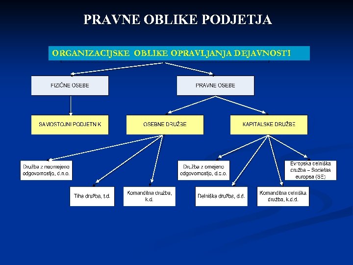 PRAVNE OBLIKE PODJETJA ORGANIZACIJSKE OBLIKE OPRAVLJANJA DEJAVNOSTI 