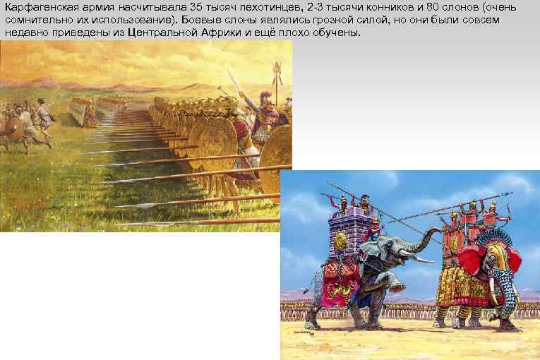 Карфагенская армия насчитывала 35 тысяч пехотинцев, 2 -3 тысячи конников и 80 слонов (очень