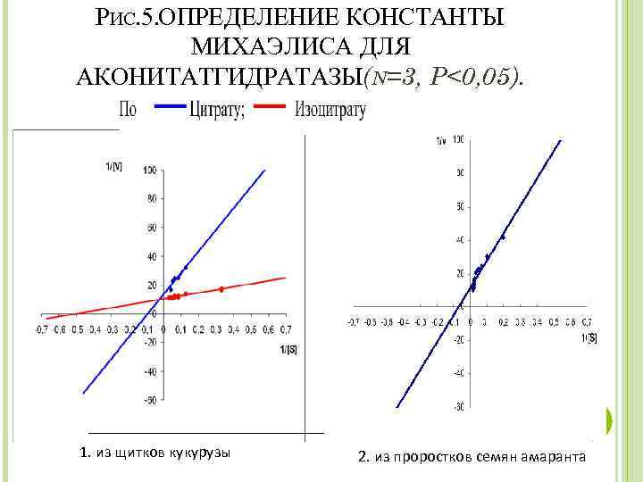 РИС. 5. ОПРЕДЕЛЕНИЕ КОНСТАНТЫ МИХАЭЛИСА ДЛЯ АКОНИТАТГИДРАТАЗЫ(N=3, P<0, 05). 1. из щитков кукурузы 2.