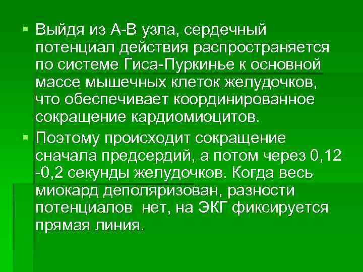 § Выйдя из А-В узла, сердечный потенциал действия распространяется по системе Гиса-Пуркинье к основной