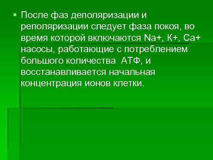 § После фаз деполяризации и реполяризации следует фаза покоя, во время которой включаются Na+,