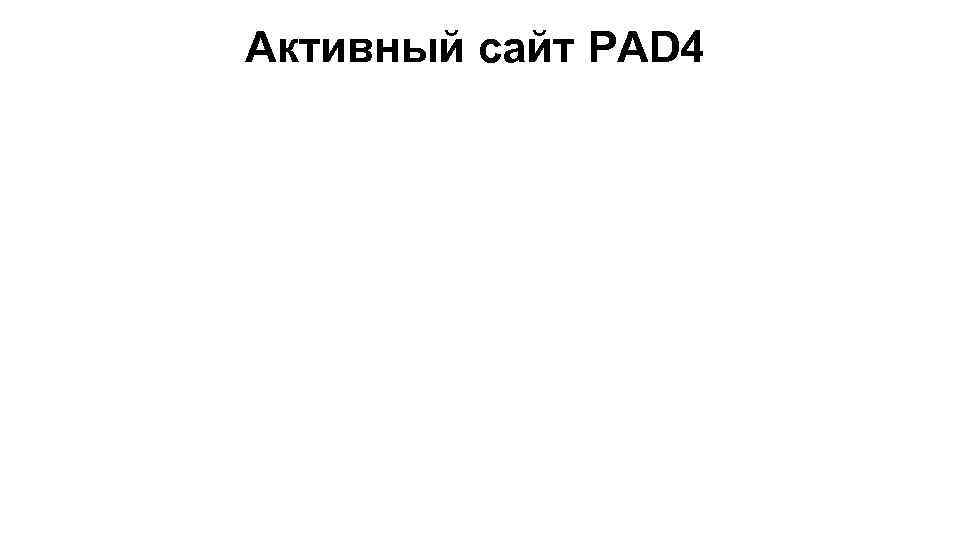 Активный сайт PAD 4 