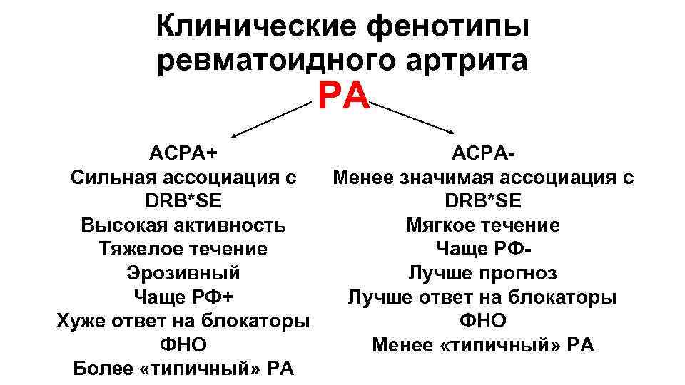 Клинические фенотипы ревматоидного артрита РА ACPA+ ACPAСильная ассоциация с Менее значимая ассоциация с DRB*SE