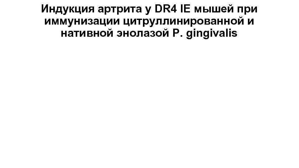 Индукция артрита у DR 4 IE мышей при иммунизации цитруллинированной и нативной энолазой P.