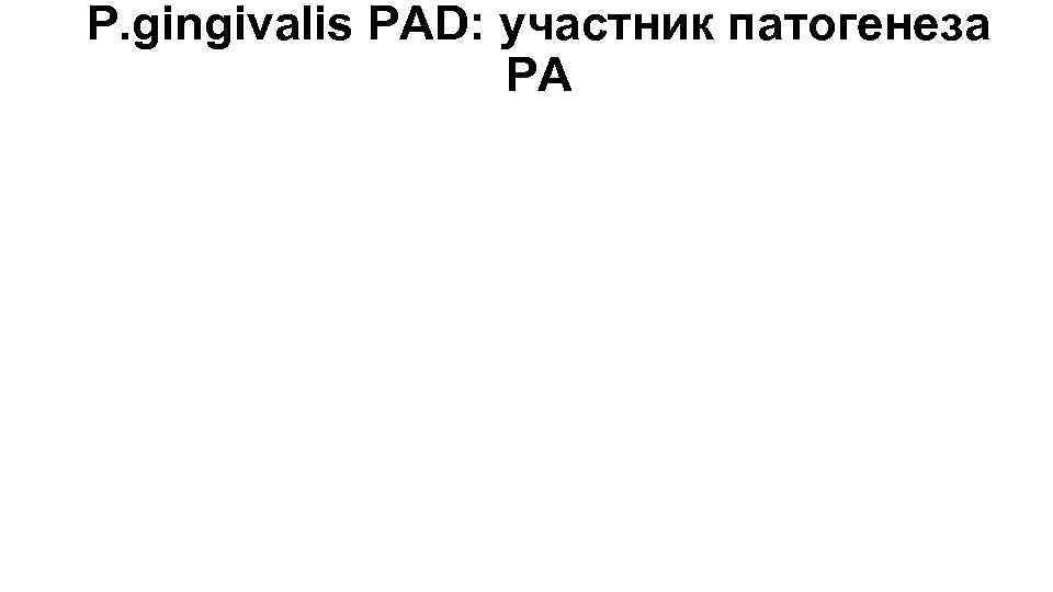 P. gingivalis PAD: участник патогенеза РА 