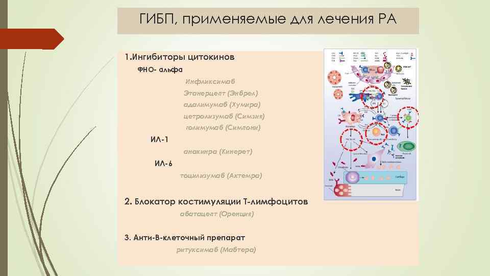 ГИБП, применяемые для лечения РА 1. Ингибиторы цитокинов ФНО- альфа Инфликсимаб Этанерцепт (Энбрел) адалимумаб