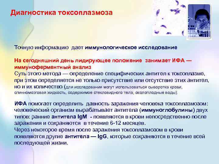 Диагностика токсоплазмоза Точную информацию дает иммунологическое исследование На сегодняшний день лидирующее положение занимает ИФА